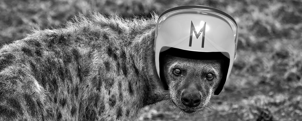 Hyena Speedracer helmet